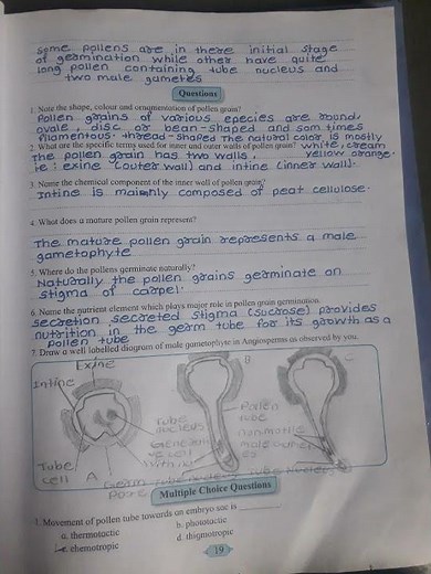 12th class biology practical ## Experiment no:4 study of pollen germination on slide