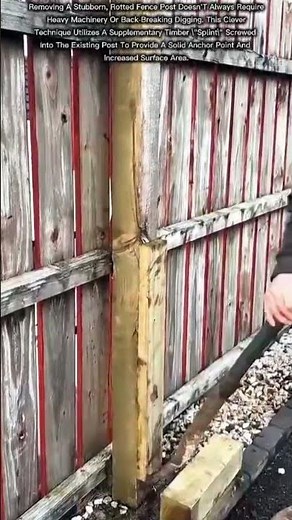 How to Remove a Stubborn Rotted Fence Post Without Heavy Machinery