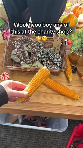 Thrift Shopping: Items I Didn't Buy from Charity Shops