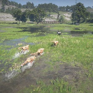 124K views · 1.5K reactions | Donkey Impossible escape from Tigers | Kesari Gaming | Facebook