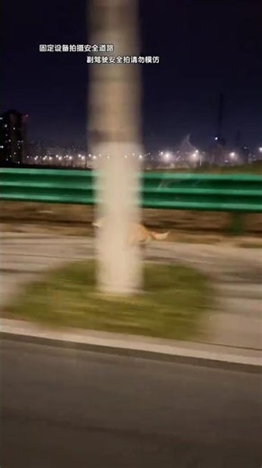 Big Yellow's Equipment Explodes in Rain! Epic Disaster Unleashed