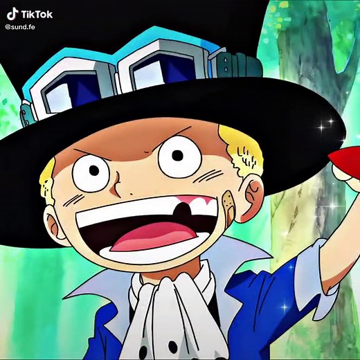 Sabo, Luffy, and Ace: Brothers in One Piece