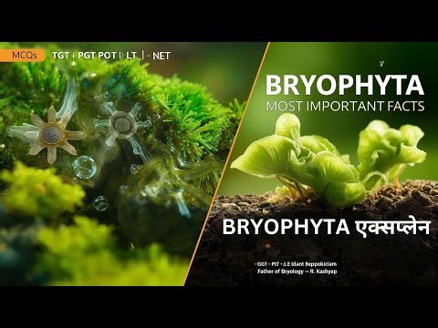 Bryophyta MCQs & Important Facts | ब्रायोफाइटा संपूर्ण अध्ययन | TGT PGT LT NET Exams