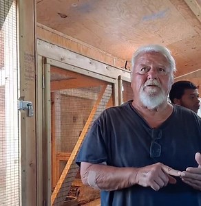 8K views · 254 reactions | Tom explains reptile intelligence and why proper space and enrichment is important. Most reptiles are not properly kept which leads to negative behavior. Give them a reason to live and a suitable habitat and your reptile will be happy. | Winston the Tegu | Facebook