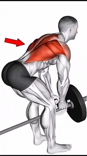 31K views · 601 reactions | 7 Powerful Exercises to Build a Bigger, Stronger Back – Essential Back Workout Routine for Muscle Growth, Strength, and Definition. Transform Your Back with These Effective Moves. #waitandwatch #Fitness #motivation #backworkout #gymexercises #liftlegendgym | LiftLegend Gym | Facebook
