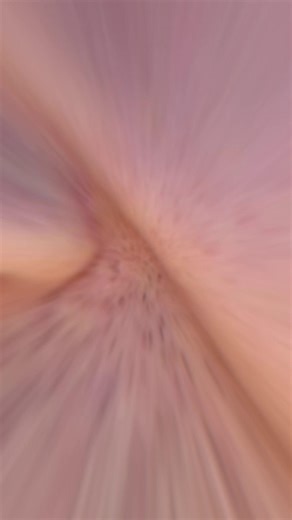 1.1K views · 14 reactions | Customer Spotlight from Bauma: Avant...