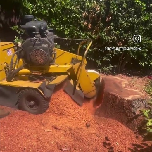 Stump Removal with Stump Grinder