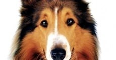 Lassie (2005)  - Ver Película Completa en Español / Castellano - FULLTV