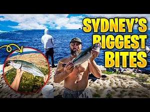 Epic Rock Fishing Adventure In Sydney – Catching Kingfish And Big Fish On The Rocks
