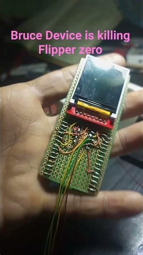 This is my Diy Bruce Device project
