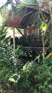 6.2K views · 154 reactions | Get ready for the epic JAMAICA-Rama at...