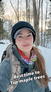 When is the best time to tap your trees? Easy short answer: late winter, early spring! Hard longer answer: when it’s right for you in terms of producer size, collection method, geographical location and weather patterns! Large producers may start tapping as early as December/January. Small producers may not tap until March! | The Maple Farmer