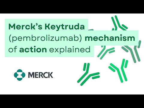 Merck's Keytruda (pembrolizumab) mechanism of action explained