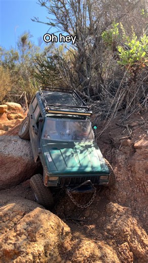 Getting Back on the Road: My Driving Journey