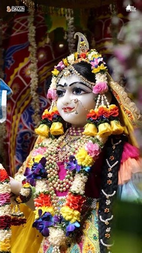 Divine Darshan of Radha Madhav on Rath Yatra