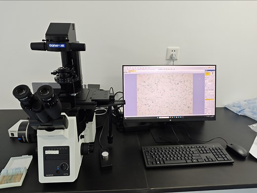奥林巴斯倒置荧光显微镜操作视频