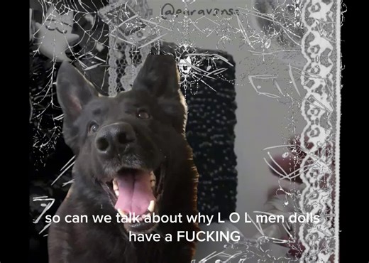 #rant #smile #loldolls #dog #frypgシ | lol men dolls