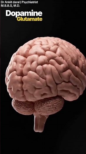 Schizophrenia Explained Simply | Causes, Treatment & Early Signs.