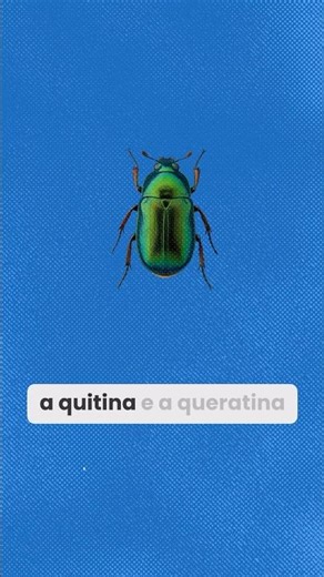 A convergência adaptativa leva a estruturas análogas. Explicação prática e fácil de ser compreendida