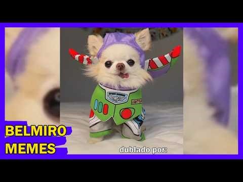 Belmiro Memes: Dublagens de animais engraçados - Episódio 633