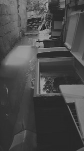 Back to basic! | Michael Dutchi Libranda