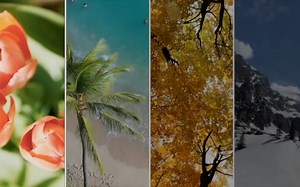 fcpx 86款分屏预设