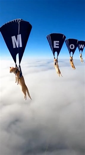 Cats Leap From Airplane To Spell "Meow" In Style #cats #skydiving