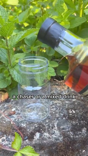 Ultimate Summer Essential: The FreePour System stores extra spirits and allows you to customize the amount of liquor in each sip at the press of a button. Take a shot, chaser, or a mixed drink. Don't miss the Summer Sale. | FlasKap