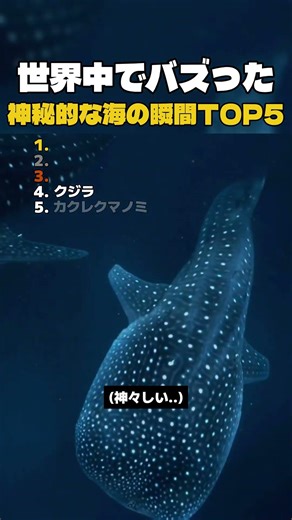 世界中でバズった! 神秘的な海の瞬間TOP5