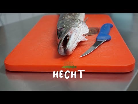 Hecht wirklich GRÄTENFREI! | Filetieren XXL