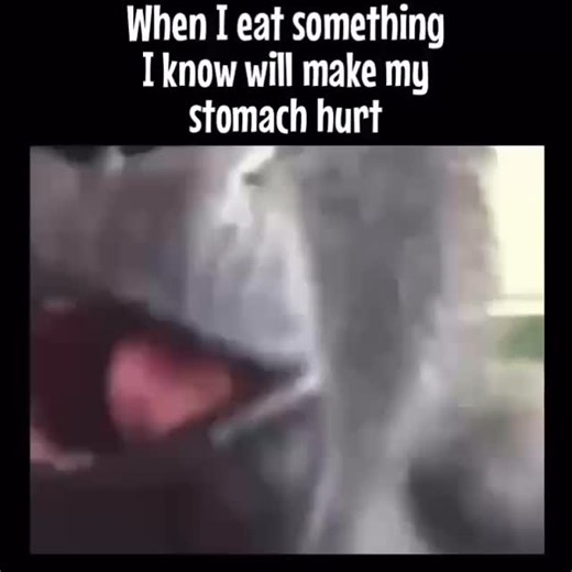 25K views · 20 reactions | #eating #stomachhurts #diarrhea - - - - - - - - - #loseweightwhileyousleep #befat #notlosingweight #lookingskinny #mymotivation #sticktoyourdiet #weightlosshope #lazyworkout #burncalories #eatingtoomuch #stayfat #changeeatinghabits #helplosingweight #wearefat #pregnantfitness #imhangry #gymfails #gottaloseweight #bigbellyproblems #feedme #whatieat #notworkingout #nodieting #nogymtoday #overeat #weightlossfail #gonnagethealthy | Funnyweightloss | Facebook