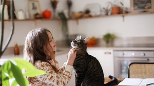 Story from Purina: This groundbreaking cat food reduces allergens in cat hair and dander