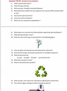 Question 1 B) VIII. Answer in one sentence.... | Filo