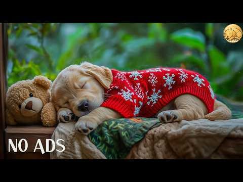 12 HOURS Dog Calming Music 🐶🌙 Deep Sleep Sounds for Dogs | Anxiety & Stress Relief 🎶 No Ads