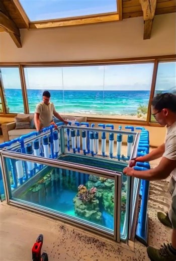 A Sea-View House With an Aquarium Floor?!