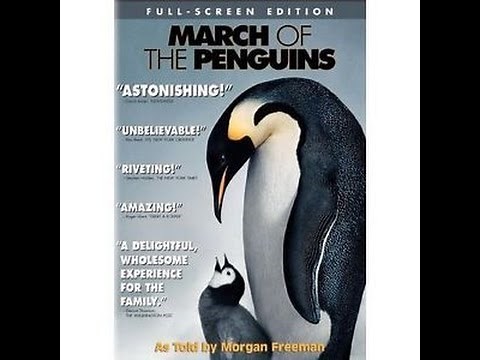 Opening To March Of The Penguins 2005 DVD