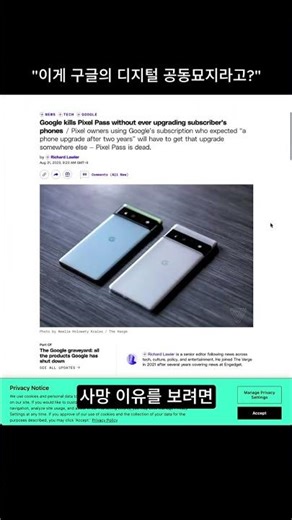 "이게 구글의 디지털 공동묘지라고?"