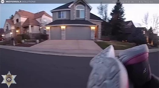 This is Rex. He found a missing child in just 12 minutes on his first tracking mission. "He’s kind of a triple threat," his handler said. He's trained as a therapy dog, an explosive detection canine, and missing person tracker. As soon as the girl was safe, Rex shifted to comfort mode. 14/10