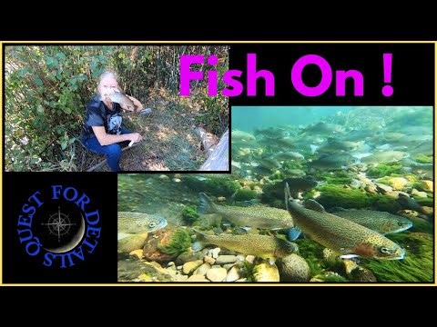 Fishing Trip To hat Creek Ca 2022 - Details Of The Quest # 104 By : Quest For Details