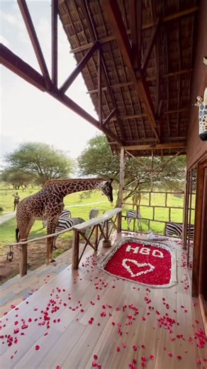 This is Tanzania 🇹🇿 Welcome to Serval Wildlife — a rare blend of luxury, nature, and unforgettable wildlife moments. Tucked away in the scenic Siha District of Kilimanjaro, this exclusive eco-luxury lodge offers a truly unparalleled escape. Wake up to breathtaking views, refined comfort, and immersive wildlife experiences designed for those who seek the extraordinary. 2 days | 1 night USD 950 per night for 2 adults Book your luxury wildlife escape with SpotOn Vacations. #SpotOnVacations #SpotO