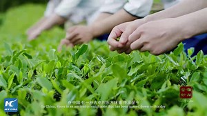 1.2K views · 118 reactions | With wisdom, ingenuity, and oriental aesthetics injected into the earth, the purple clay teapot, an amazing Chinese tea ware is created in the hands of skillful craftsmen. Follow us to see how the art comes to life: xhtxs.cn/Kg2 | China Xinhua News | Facebook