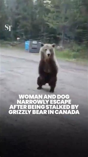 Female camper and her dog narrowly escape after being stalked by grizzly bear in Canada