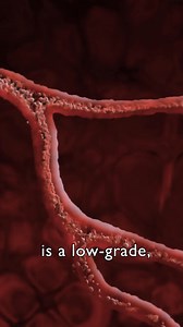 Tim is a creative individual who spent his career working on special...