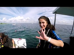 Top 6 Excursions in Punta Cana, Dominican Republic