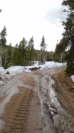 Find Nature & Peace On Colorado's Trail Creek Dirt Road