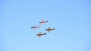 46K views · 2.3K reactions | Here are a few warbirds flying through your Facebook feed. | I Love WWII Planes | Facebook