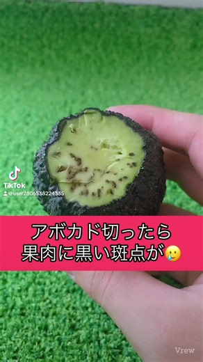 アボカドの黒い斑点は食べられる？正しい判断法