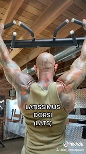 Build a BIGGER BACK by performing PULL-UPS PROPERLY. | Dr. Jim Stoppani
