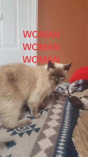 Random stop motion channel on TikTok