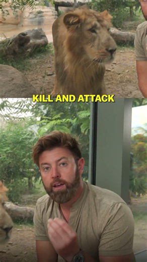 Most People Don't Know This Animal Exists